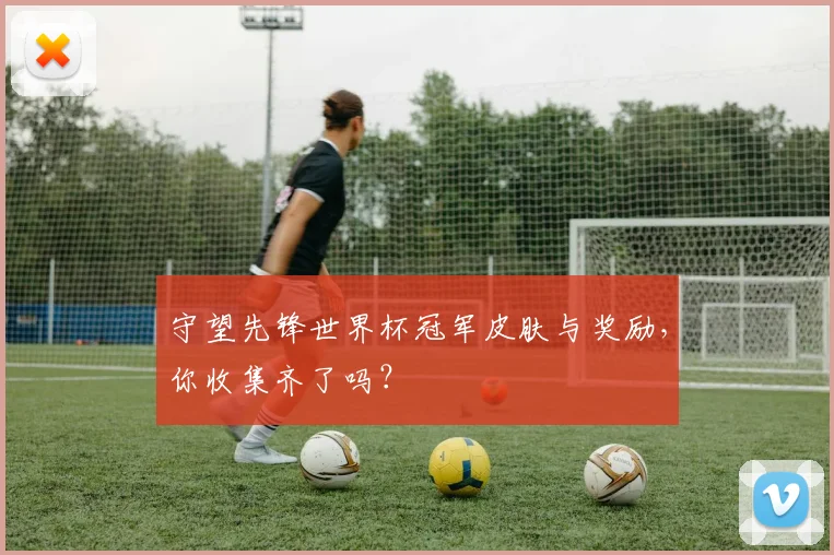 守望先锋世界杯冠军皮肤与奖励，你收集齐了吗？