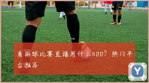 看排球比赛直播用什么app?热门平台推荐