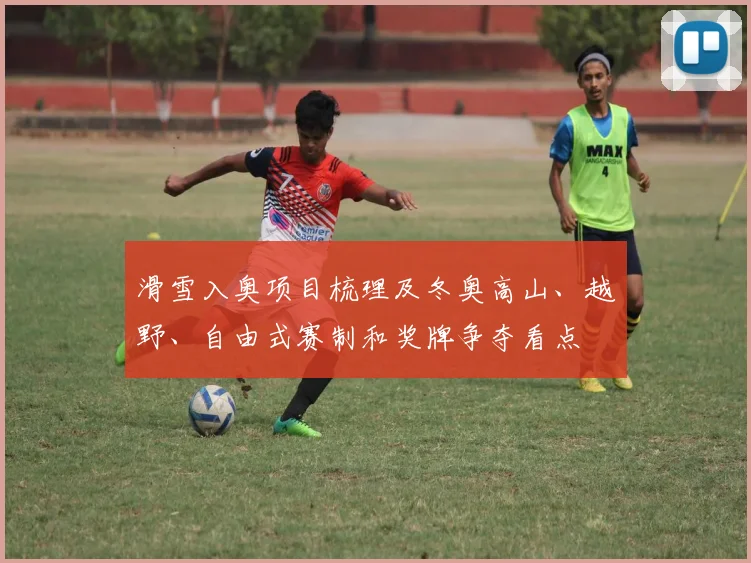 滑雪入奥项目梳理及冬奥高山、越野、自由式赛制和奖牌争夺看点