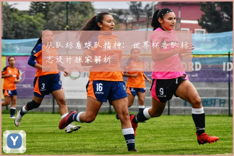 从队标看球队精神:世界杯各队标志设计独家解析