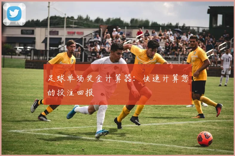 足球单场奖金计算器:快速计算您的投注回报