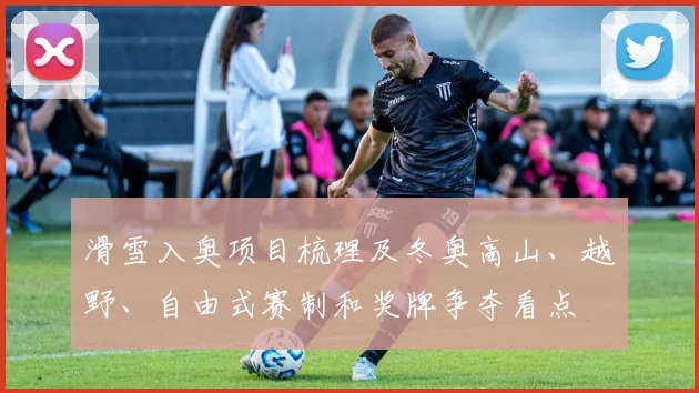 滑雪入奥项目梳理及冬奥高山、越野、自由式赛制和奖牌争夺看点