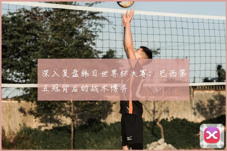 深入复盘韩日世界杯决赛：巴西第五冠背后的战术博弈